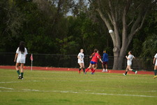 Enlarge photo 549