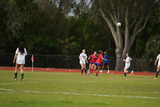 Enlarge photo 550