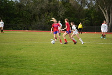 Enlarge photo 597