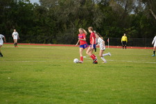 Enlarge photo 599