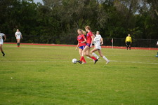 Enlarge photo 600