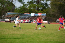 Enlarge photo 813