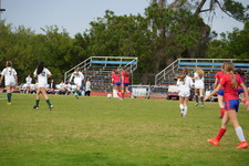 Enlarge photo 819