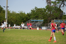 Enlarge photo 823