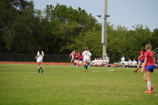 Enlarge photo 829