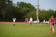 Enlarge photo 830
