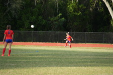 Enlarge photo 93