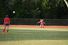 Enlarge photo 94