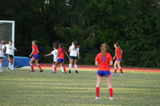 Enlarge photo 102