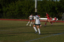 Enlarge photo 116