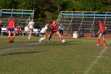 Enlarge photo 121