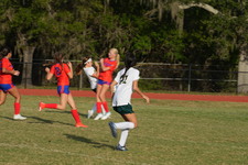 Enlarge photo 132