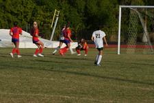 Enlarge photo 135
