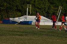 Enlarge photo 142