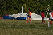 Enlarge photo 143