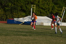 Enlarge photo 146