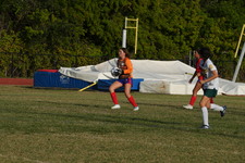 Enlarge photo 147