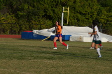 Enlarge photo 148