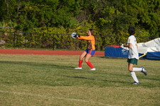 Enlarge photo 149