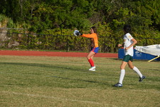 Enlarge photo 151