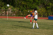 Enlarge photo 155