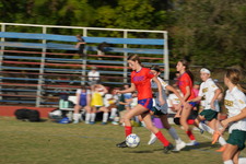 Enlarge photo 167