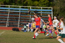 Enlarge photo 166