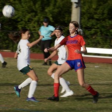 Enlarge photo 174