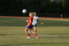 Enlarge photo 179