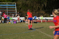 Enlarge photo 238
