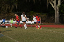 Enlarge photo 249