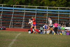 Enlarge photo 261