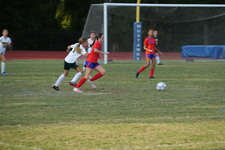 Enlarge photo 315