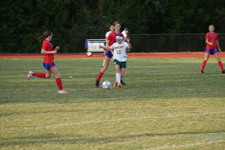 Enlarge photo 319