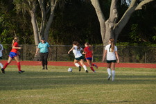 Enlarge photo 336