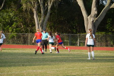 Enlarge photo 338