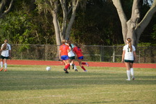 Enlarge photo 339