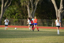 Enlarge photo 341