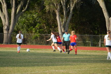 Enlarge photo 342