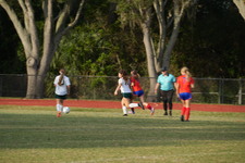 Enlarge photo 343
