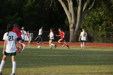 Enlarge photo 344