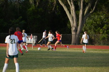 Enlarge photo 345