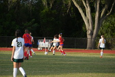 Enlarge photo 347