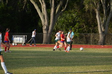 Enlarge photo 355