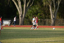 Enlarge photo 357