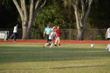 Enlarge photo 358