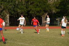Enlarge photo 446