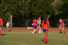 Enlarge photo 457