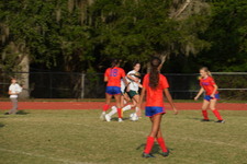 Enlarge photo 458