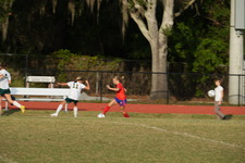 Enlarge photo 462